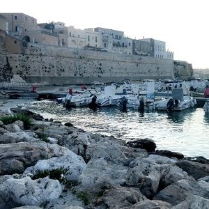 Meet your Posher, Tee